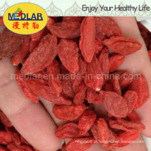 Nêspera Vermelho Goji Chinês Wolfberry